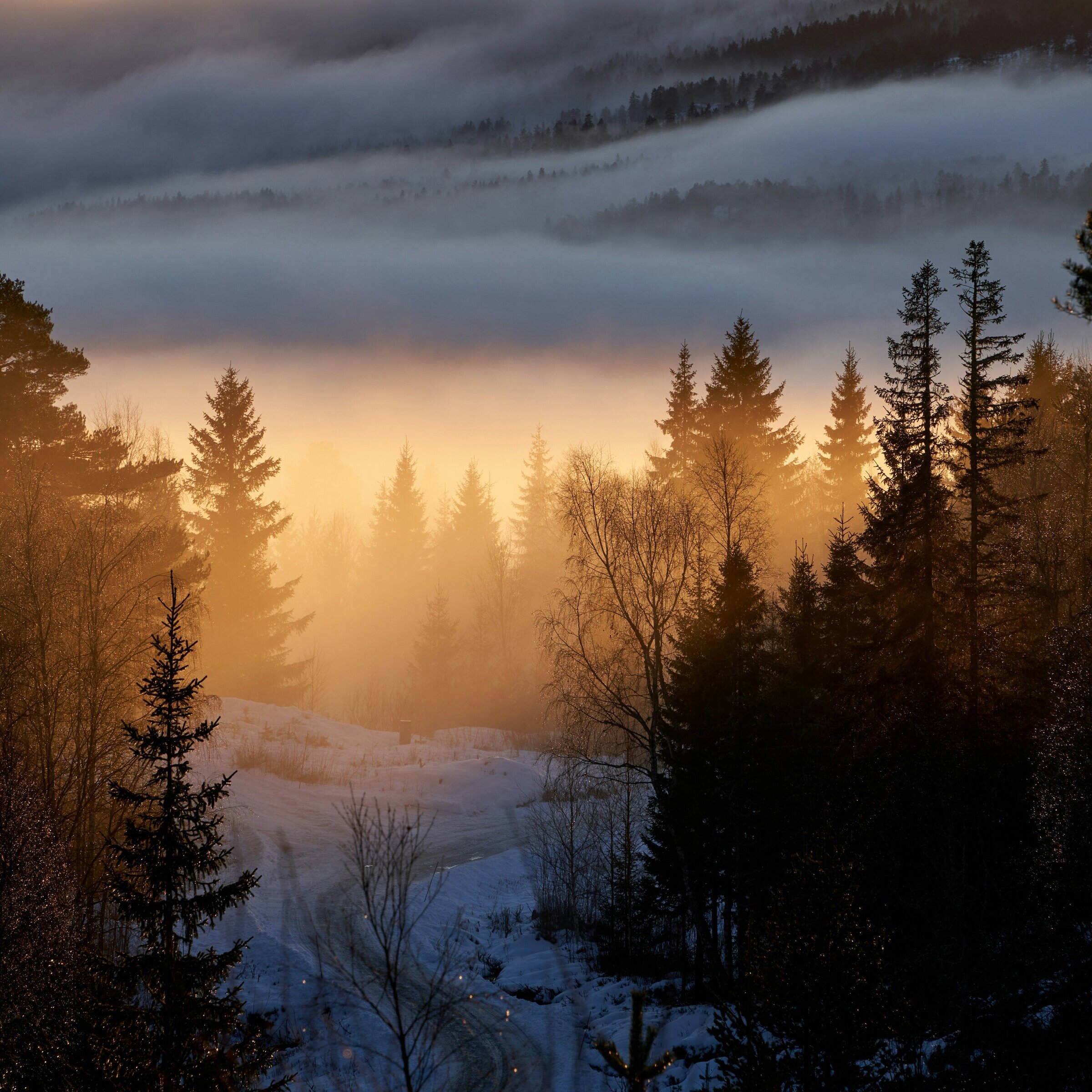 Colección Sensaciones